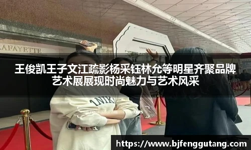 太阳集团tyc王俊凯王子文江疏影杨采钰林允等明星齐聚品牌艺术展展现时尚魅力与艺术风采