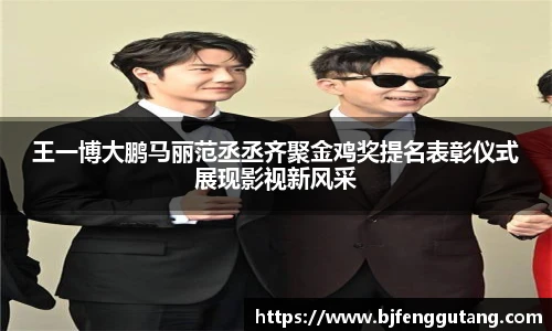 太阳集团tyc王一博大鹏马丽范丞丞齐聚金鸡奖提名表彰仪式展现影视新风采