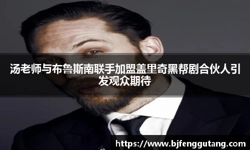 太阳集团tyc汤老师与布鲁斯南联手加盟盖里奇黑帮剧合伙人引发观众期待