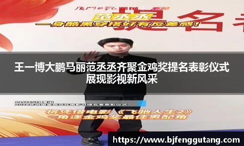 太阳集团tyc王一博大鹏马丽范丞丞齐聚金鸡奖提名表彰仪式展现影视新风采